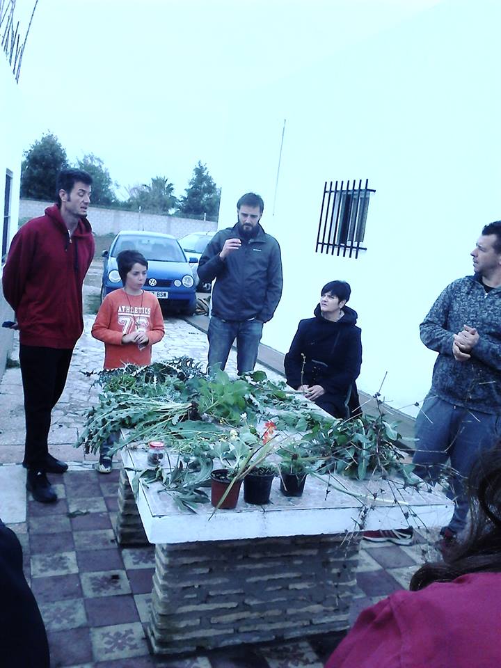 El Semillero y la Sinergia