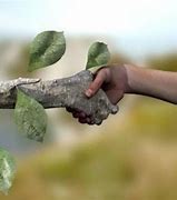Sobre naturopatía y certezas